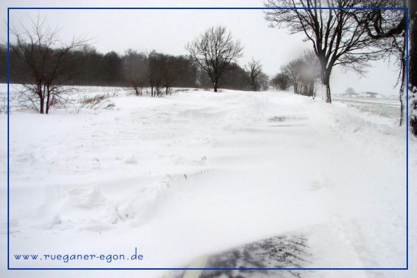 Foto; Egon Nehls